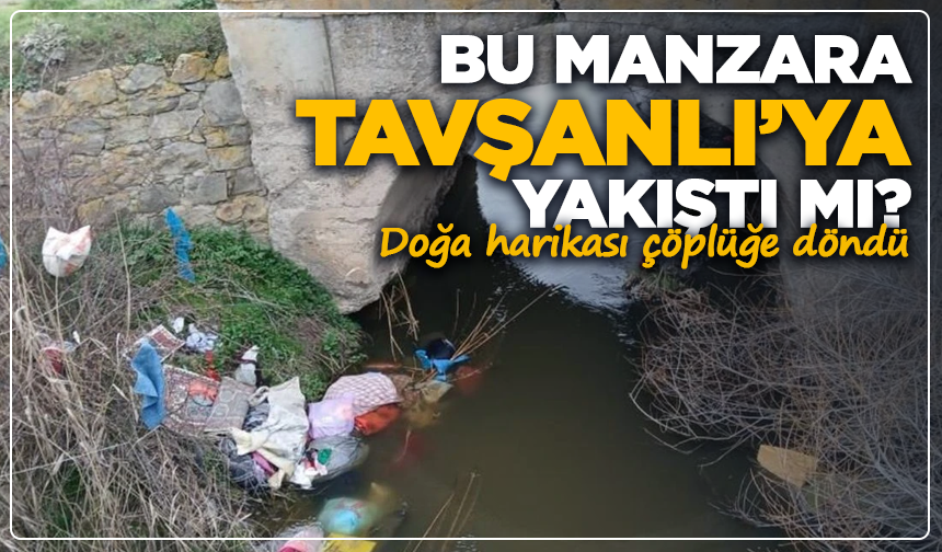 Tavşanlı'nın doğa harikası ovası çöplüğe döndü