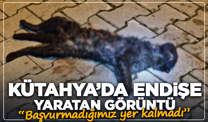 “Başvurmadığımız yer kalmadı”: Kütahya’da tepki büyüyor