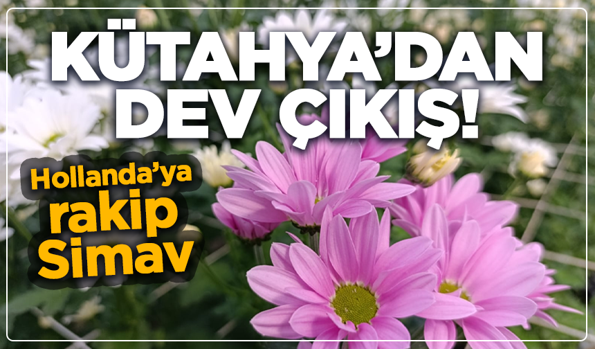 Kütahya’dan dev çıkış! Hollanda’ya rakip: Simav