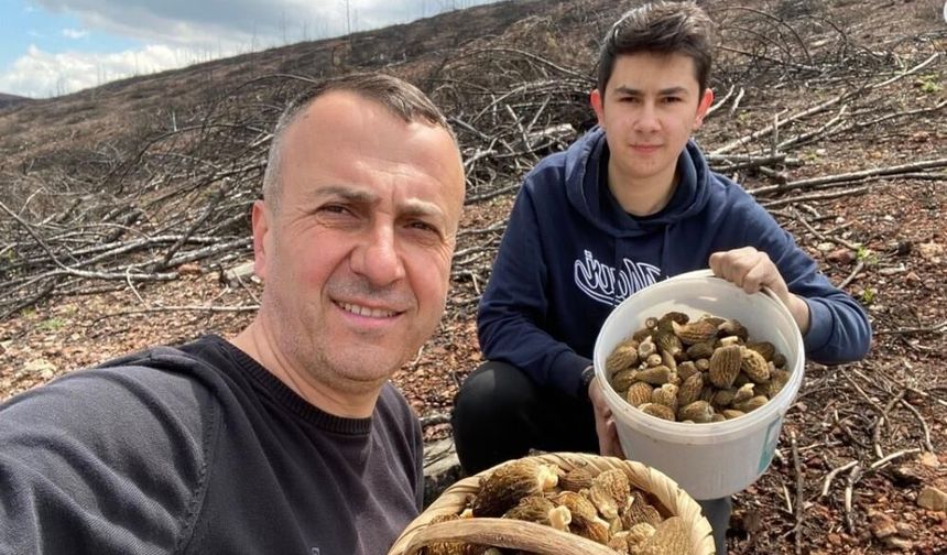 Kütahya'da mantar vatandaşların yüzünü güldürdü: ''Çok bereketli bir gün oldu''