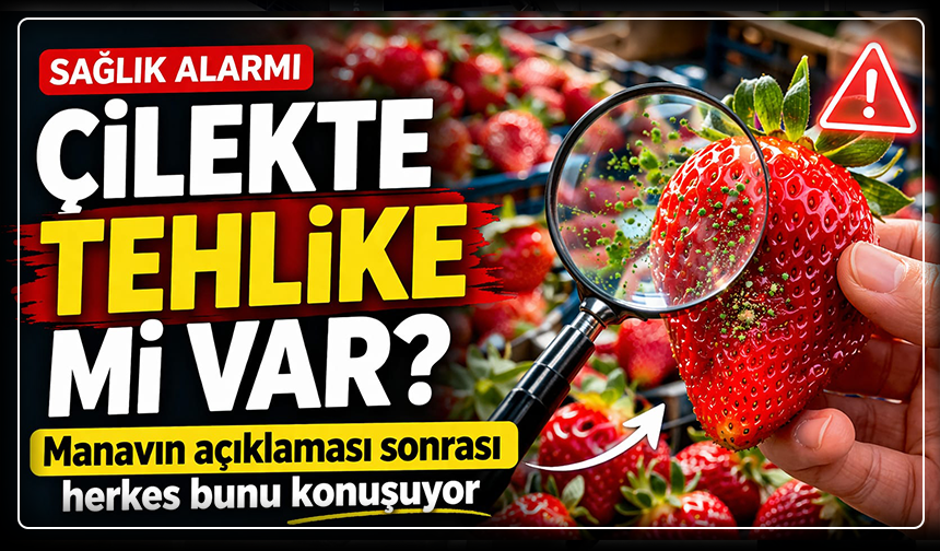 “Çilekte tehlike mi var?” Manavın açıklaması sonrası herkes bunu konuşuyor