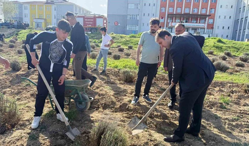 Çavdarhisar’da geleceğin üreticileri lavanta fidelerini toprakla buluşturdu