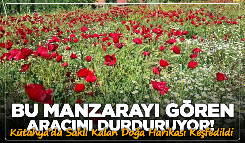 Kütahya’da Bu Manzarayı Gören Aracını Durduruyor!