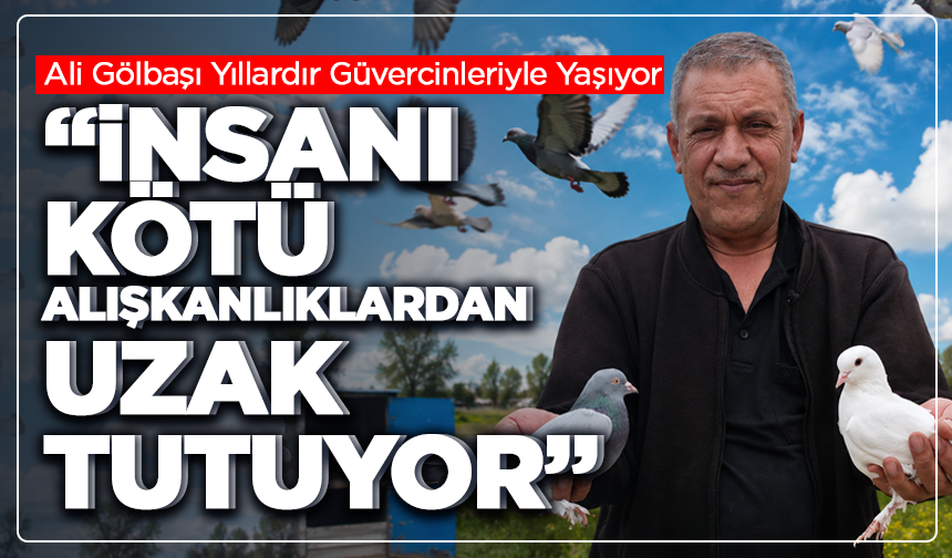 Kütahya’da Güvercin Tutkusu: “İnsanı Kötü Alışkanlıklardan Uzak Tutuyor”