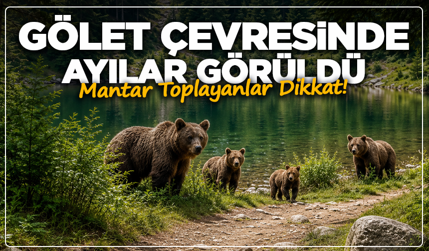 Kütahya’da Gölet Çevresinde Ayılar Görüldü: Mantar Toplayanlar Dikkat!
