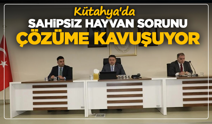 Kütahya'da sahipsiz hayvan sorunu çözüme kavuşuyor