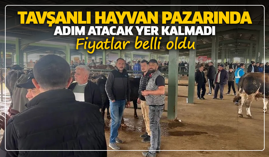 Tavşanlı hayvan pazarında adım atacak yer kalmadı: Fiyatlar belli oldu