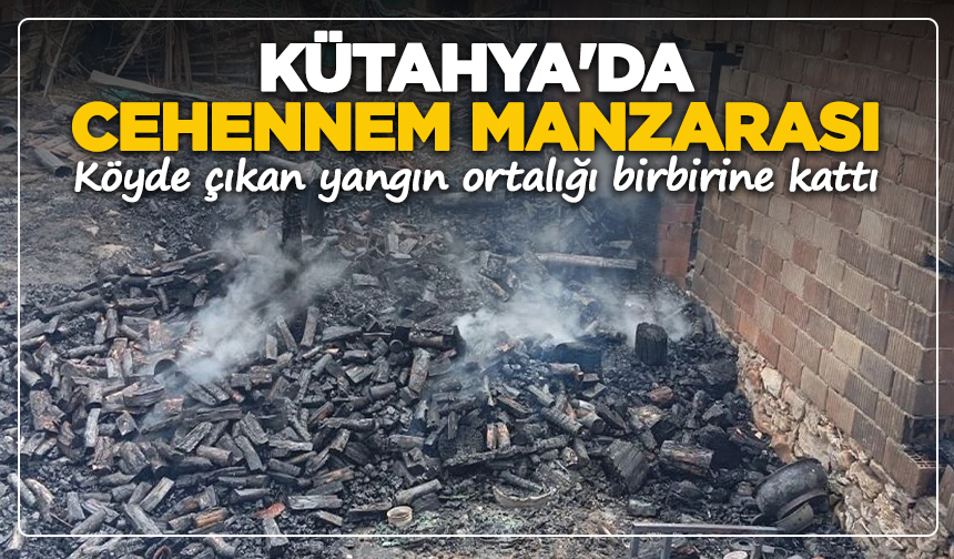 Kütahya'da cehennem manzarası: Köyde çıkan yangın ortalığı birbirine kattı