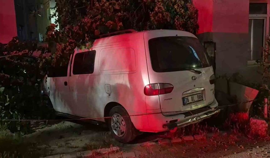 Dut ağacı park halindeki araçların üzerine devrildi, faciadan dönüldü