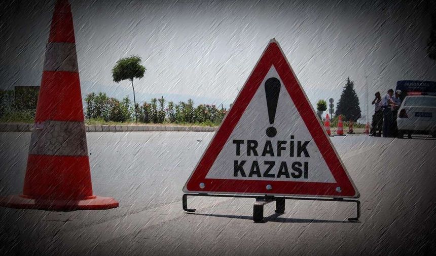 Otomobil ağaçlara çarptı: 1 ölü, 1 yaralı