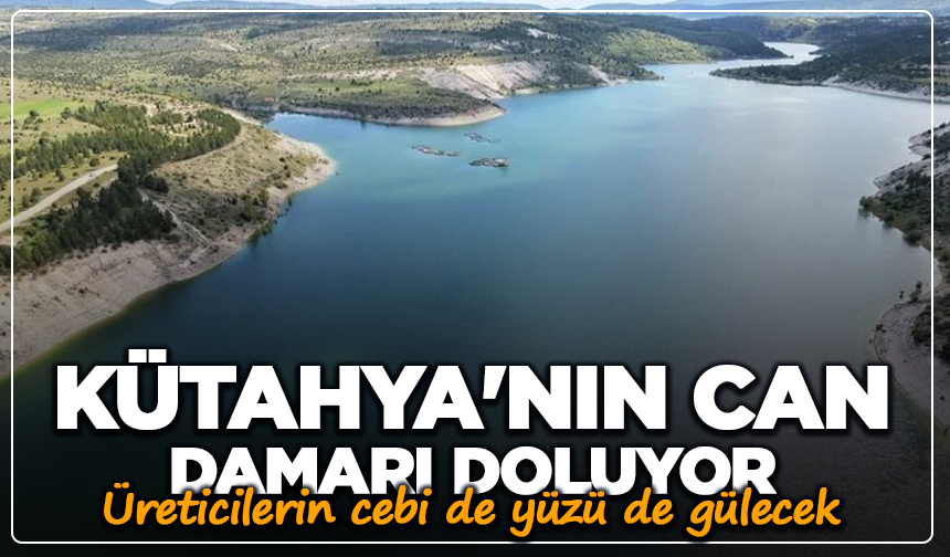 Kütahya'nın can damarı doluyor: Üreticilerin cebi de yüzü de gülecek