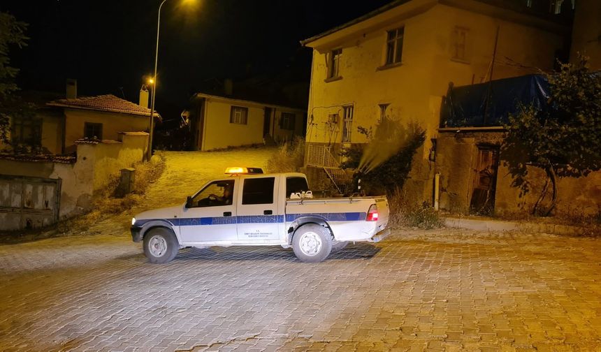 Kütahya'nın ilçesinde kene alarmı: İlaçlama çalışmaları başlatıldı