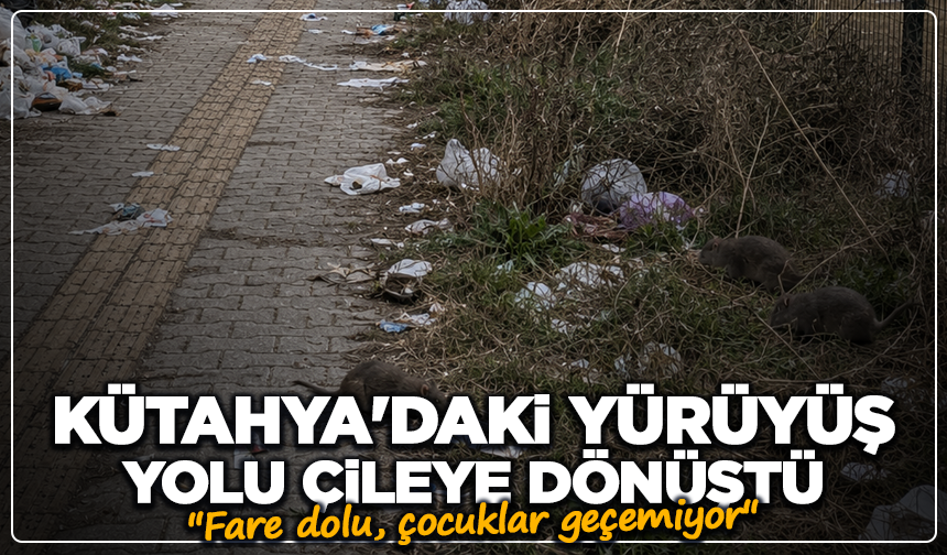 Kütahya'daki yürüyüş yolu çileye dönüştü: ''Fare dolu, çocuklar geçemiyor''