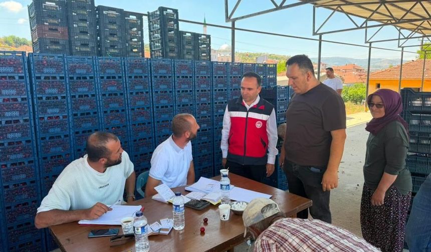 Simav'da kiraz üretimi masaya yatırıldı