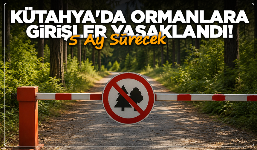 Kütahya'da Ormanlara Girişler Yasaklandı! 5 Ay Sürecek