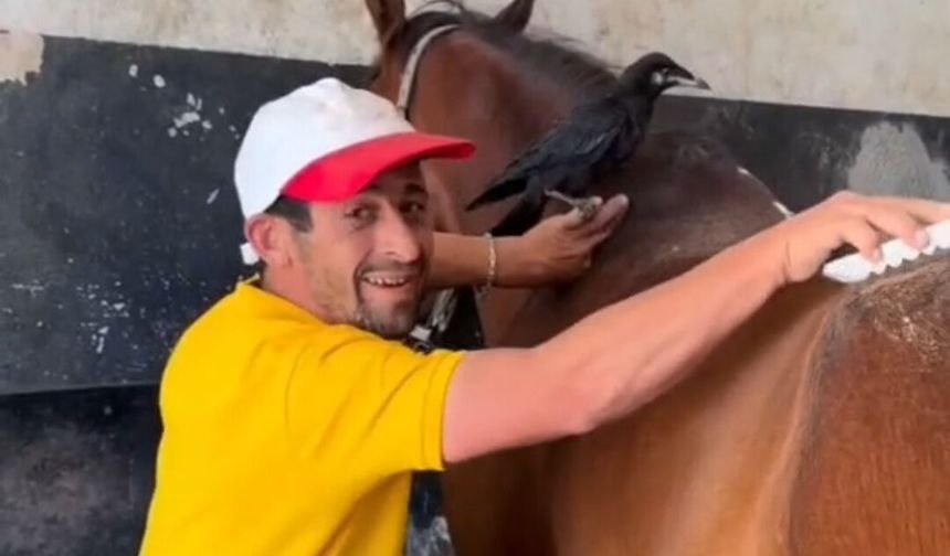 Seyisin Kargası Sosyal Medyayı Salladı: "O da Öğrenecek"