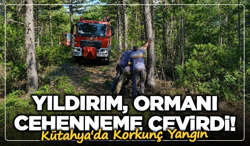 Kütahya'da korkunç yangın: Yıldırım, ormanı cehenneme çevirdi