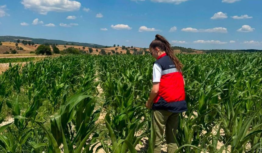 Emet’te tarım arazileri yakın takibe alındı