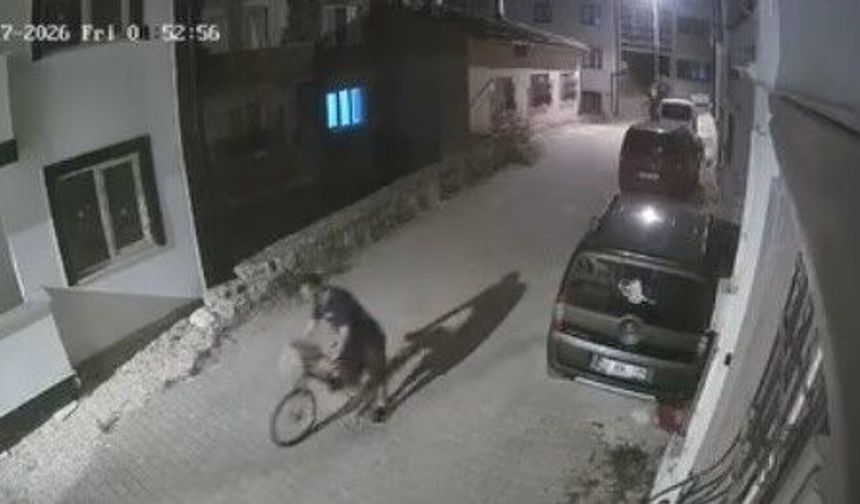 Apartmana girip elini kolunu sallayarak ayakkabı ve bisiklet çaldı