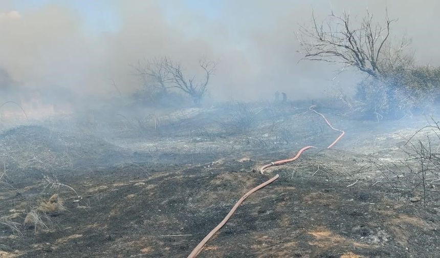 Arazi yangını kısa sürede söndürüldü