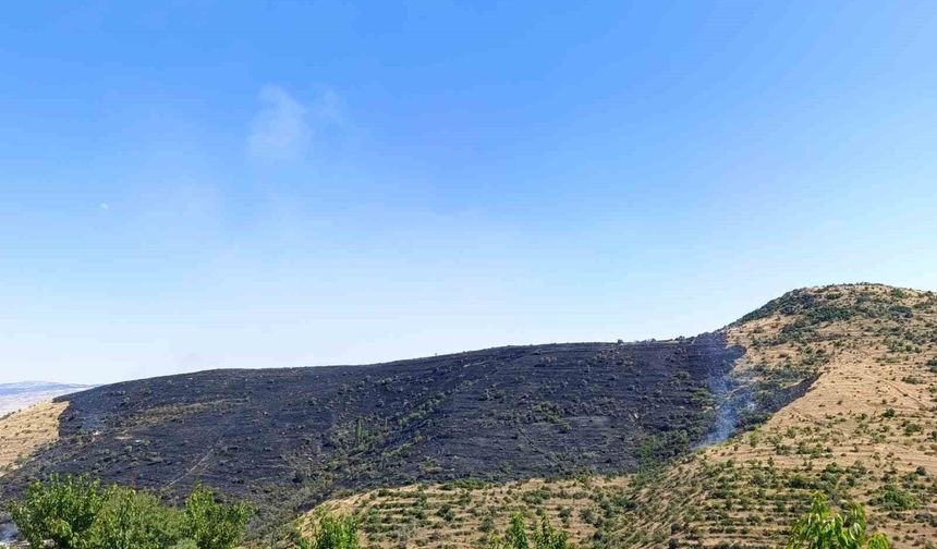 Çıkan yangında 150 hektarlık alan zarar gördü