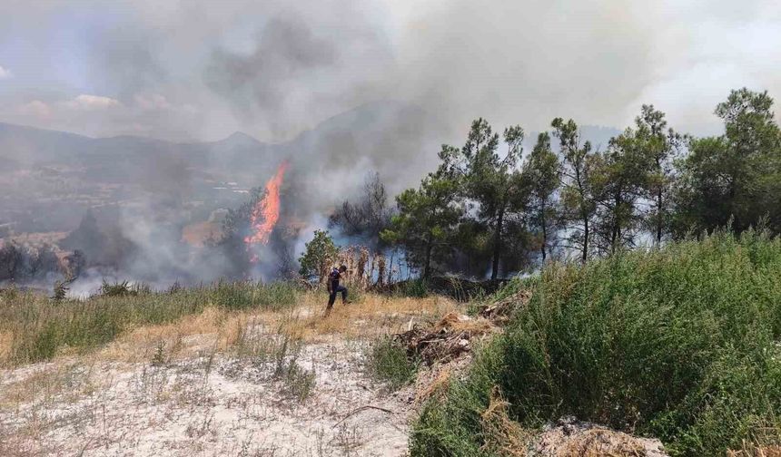 Elektrik direğinden çıkan yangın korkuttu