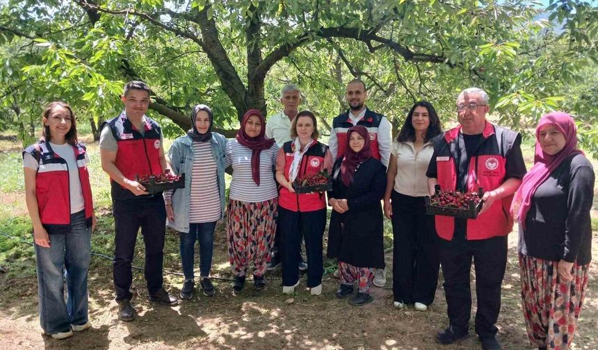 Kütahya'da organik tarım ve iyi tarım projeleri değerlendirildi