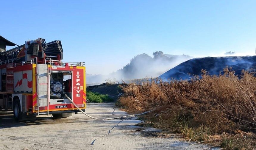 Otluk alanda çıkan yangın söndürüldü