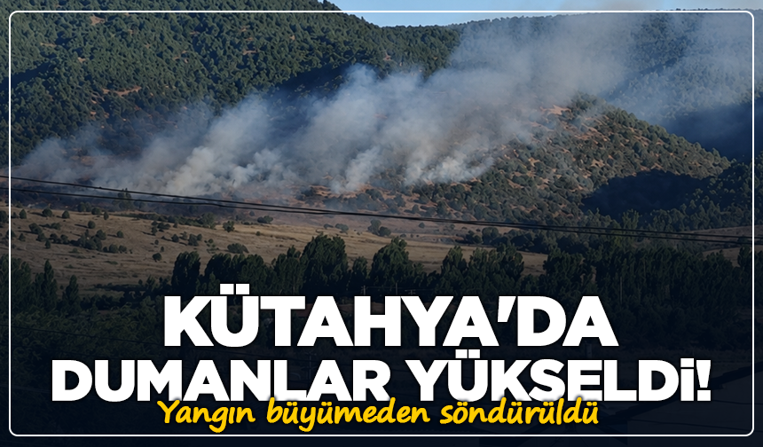 Kütahya'da Dumanlar Yükseldi! Yangın büyümeden söndürüldü