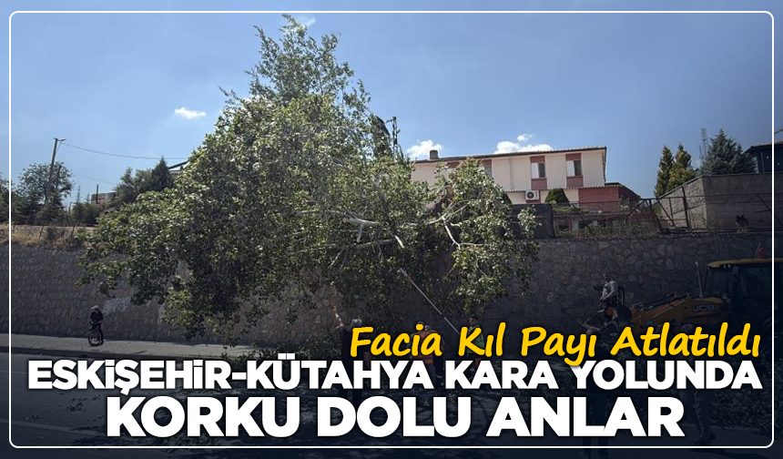 Eskişehir-Kütahya Kara Yolunda Korku Dolu Anlar
