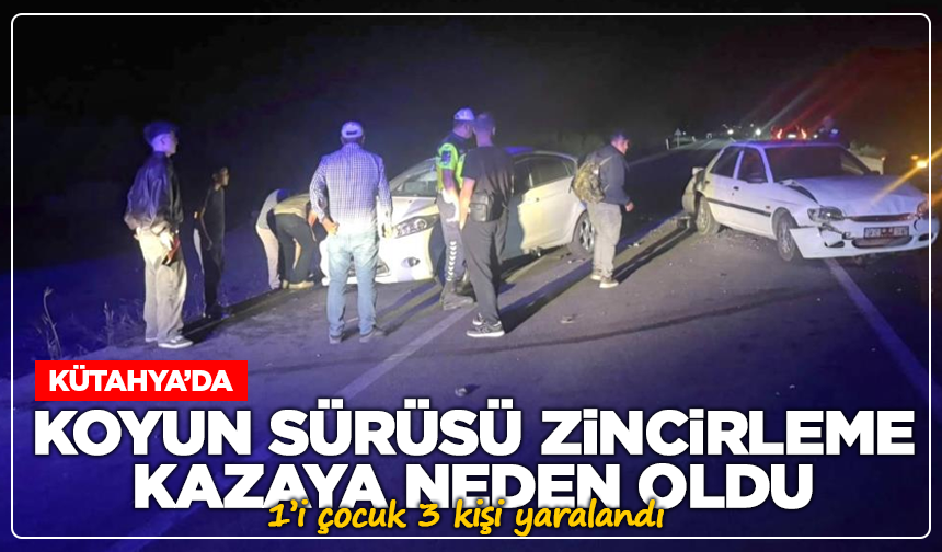 Kütahya’da koyun sürüsü zincirleme kazaya neden oldu