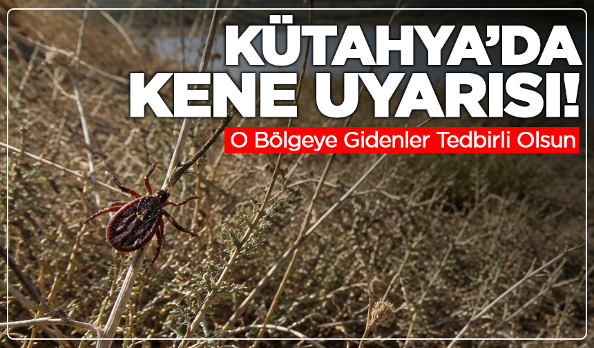 Kütahya’da Kene Uyarısı: O Bölgeye Gidenler Tedbirli Olsun