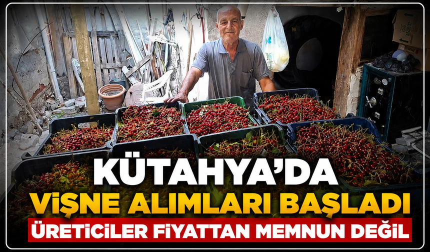 Kütahya'da üreticiler vişne alım fiyatından memnun değil: İşçinin yevmiyesini karşılamıyor tepkisi!