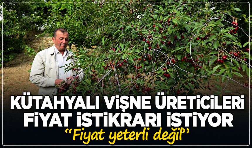 Kütahyalı vişne üreticileri fiyat istikrarı istiyor: ''Ürün bol fiyat yeterli değil''