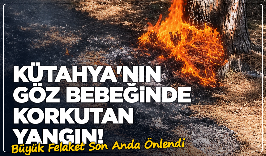 Kütahya'nın Göz Bebeğinde Korkutan Yangın! Büyük Felaket Son Anda Önlendi