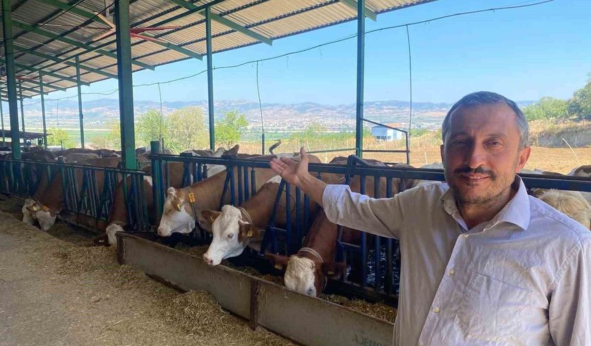 Kaliteli süt nasıl olmalı