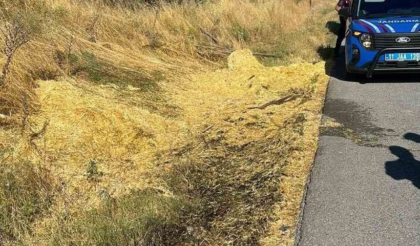 Köy çevresinde atılan sigara izmariti yangına neden oldu