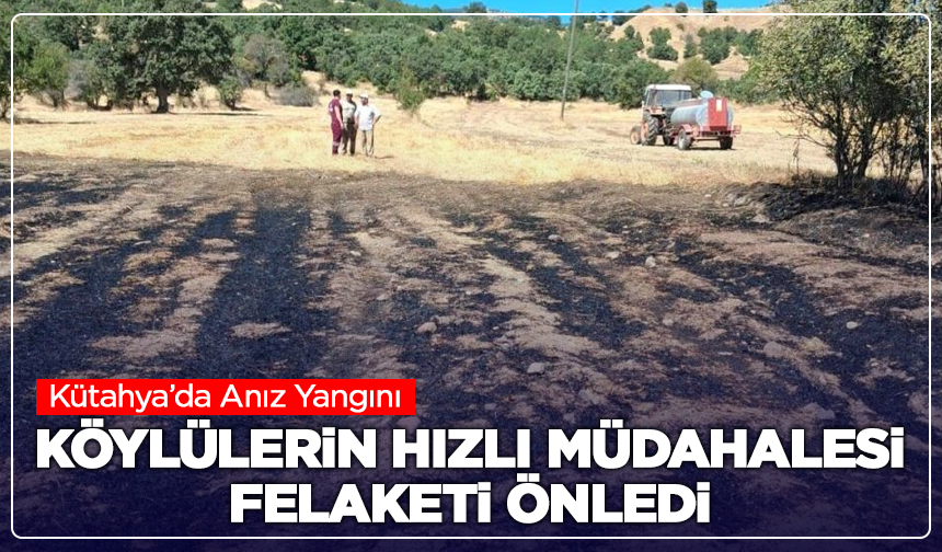 Kütahya’da Anız Yangını: Köylülerin Hızlı Müdahalesi Felaketi Önledi