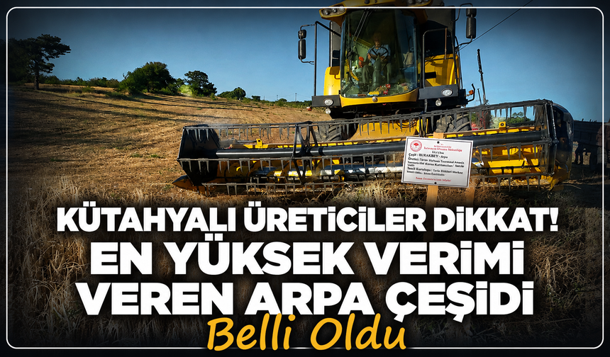 Kütahya'da yerli ve milli arpa çeşitleri hasat edildi: En yüksek verim veren çeşit açıklandı!