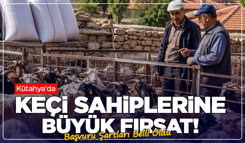Kütahya’da Keçi Sahiplerine Büyük Fırsat! Başvuru Şartları Belli Oldu