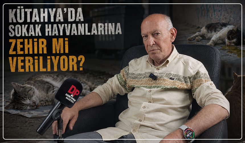 Kütahya’da korkutan iddia: “100’e yakın kedi zehirlendi ya da kayboldu”