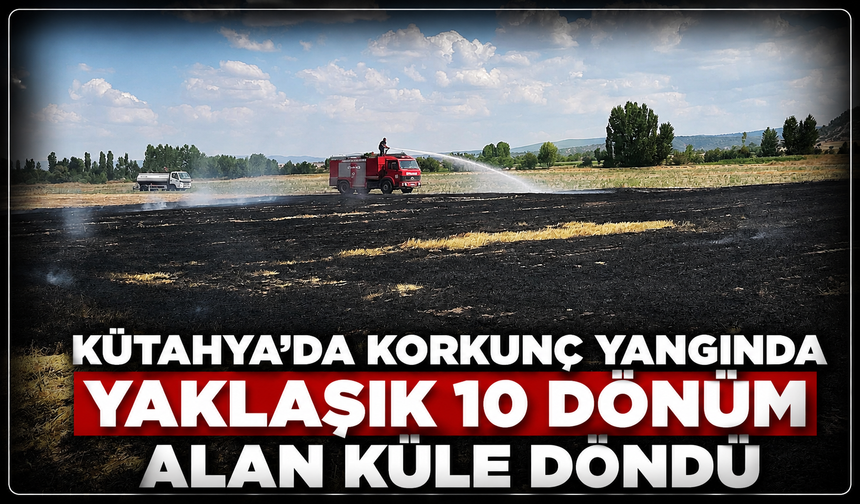 Kütahya'da korkunç yangında yaklaşık 10 dönüm alan küle döndü