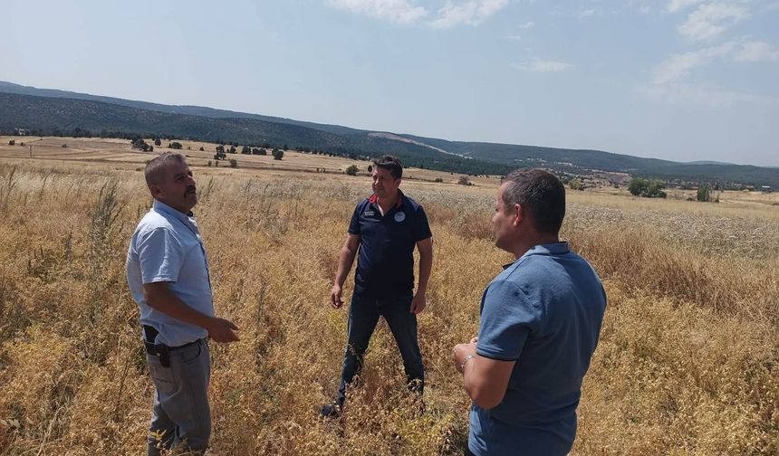 Tavşanlı'da nohut üretimine yönelik arazi kontrolleri gerçekleştirildi
