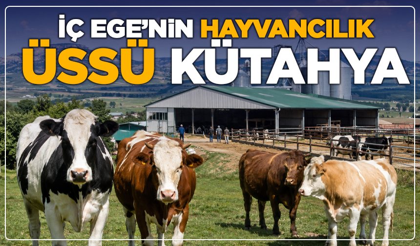 İç Ege’nin Hayvancılık Üssü Kütahya