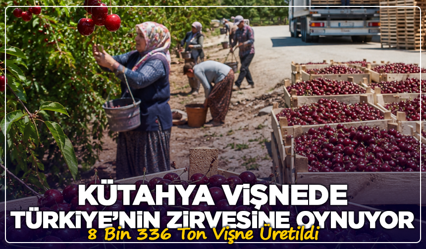 Kütahya’nın Vişnesi Üretimde Türkiye’nin Gözdesi Oldu