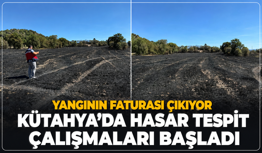 Domaniç'te korkunç yangın sonrası hasar tespiti çalışmaları başladı