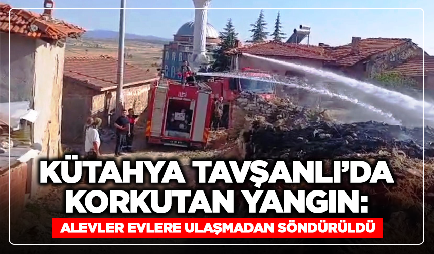 Kütahya Tavşanlı’da Korkutan Yangın: Alevler Evlere Ulaşmadan Söndürüldü!