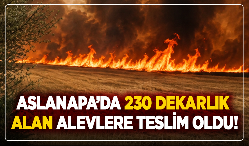 Aslanapa’da 230 Dekarlık Alan Alevlere Teslim Oldu!