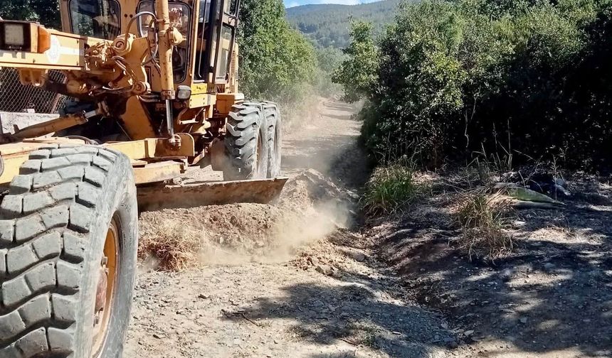 Erdek'te zeytin hasadı öncesi bahçe yollarına bakım