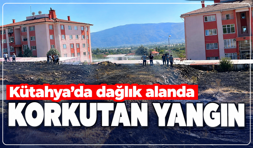Kütahya'da dağlık alanda korkutan yangın: Ekipler seferber oldu